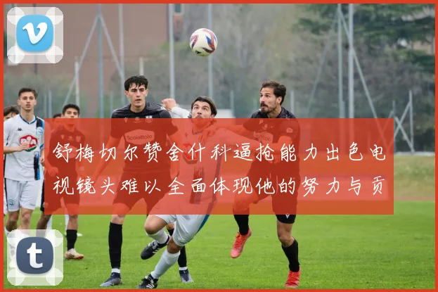 舒梅切尔赞舍什科逼抢能力出色电视镜头难以全面体现他的努力与贡献
